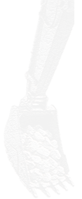 Uygulama Shape